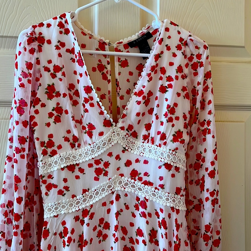 B. Darlin long sleeve floral dress, sheer with built in slip